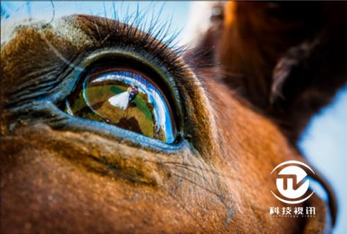 eos下一代全画幅,eos全画幅单反推荐