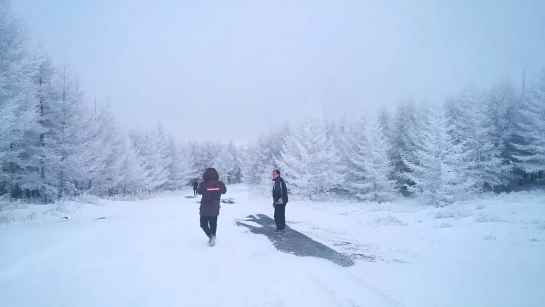 冬游草原天路,草原天路冬日自驾游攻略