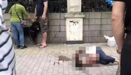 所有人的记忆都停留在了2019年,所有人你的2019年度总结请查收