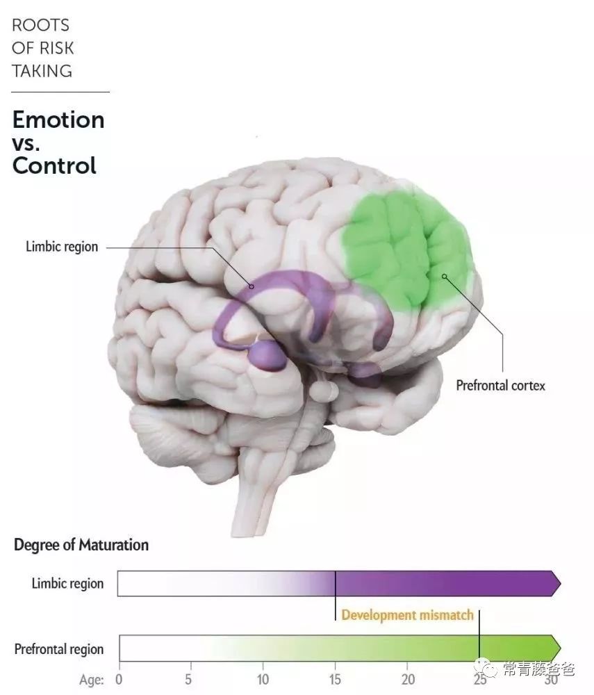 父母毁了亲子关系,父母毁掉亲子关系