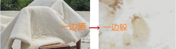 法国Lérane草本净螨贴，萃取天然植物，除螨更安心