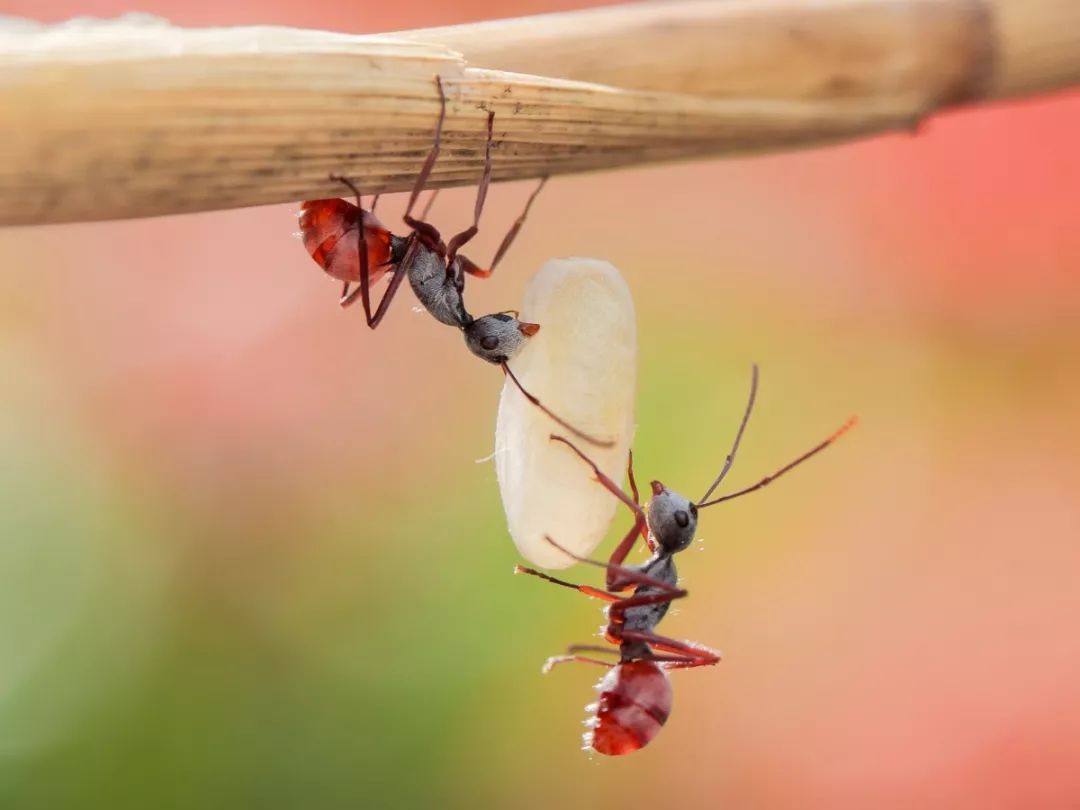 会看红绿灯的导航,会看标志标线会看路况