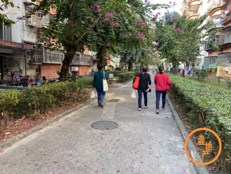 福田海岸城2022年拆迁名单,福田海岸城旧村改造不靠谱