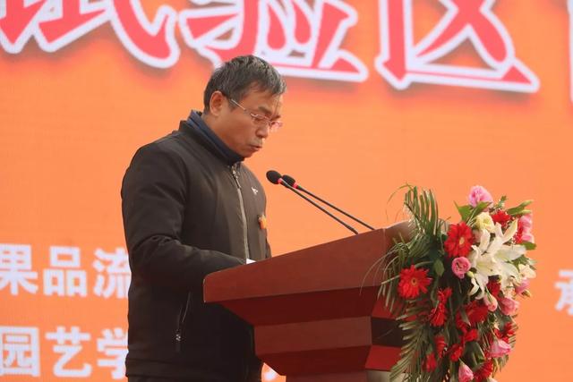 庄里柿饼展览会图片,庄里柿饼演出