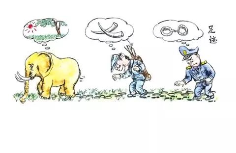 警钟||不是想买就能买！银川一男子通过微信购买象牙制品被判刑