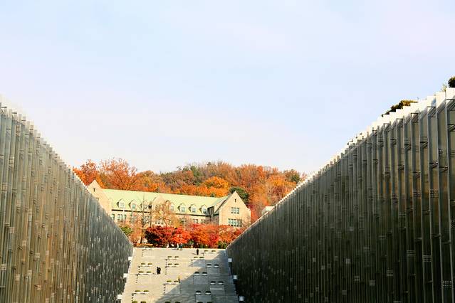 去韩国购物不超过多少钱,去韩国不美容不购物去哪里