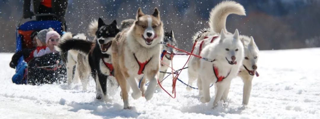 连手套都有专人呵护的，是什么神仙度假体验？