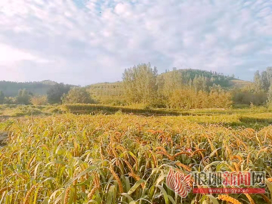 临沂年货大集,临沂齐鲁园年货大集