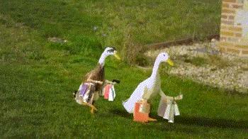 哇塞！柳州这家商场生日庆搞大了，一年一次，这实惠！这力度！不进来看看？