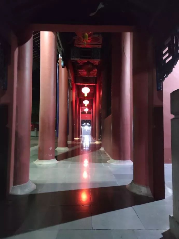 尼泊尔中华寺视频,尼泊尔蓝毗尼中华寺离韩国寺多远