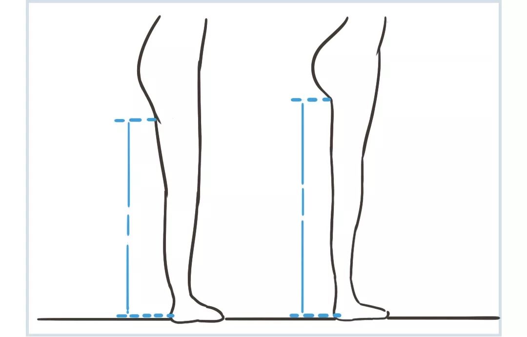 食物瘦身法大全,一周紧急瘦身法食谱