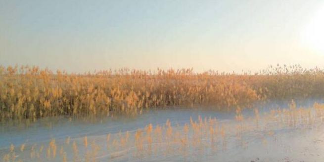 滨海县于姓的由来,滨海县在古代叫什么名字