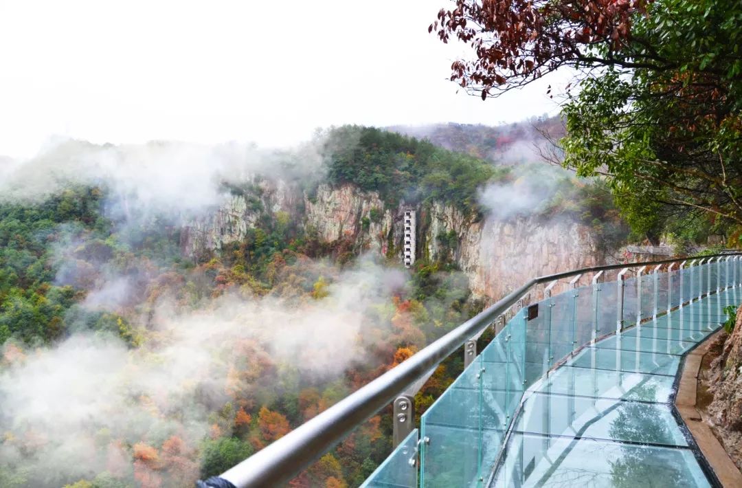 奉化旅游春节,五一奉化旅游攻略