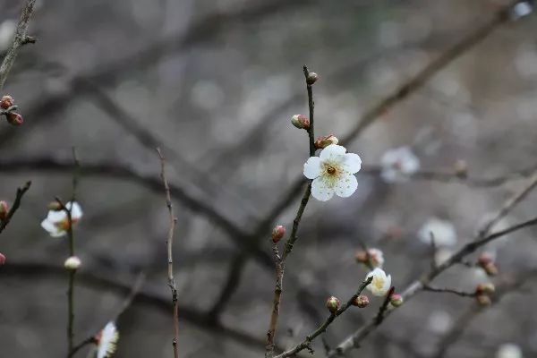 奉化旅游春节,五一奉化旅游攻略
