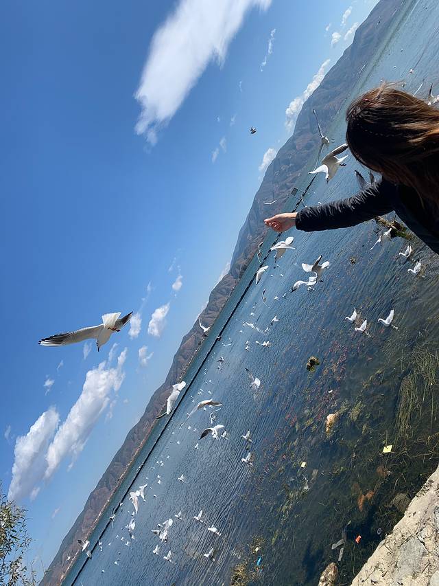 昆明大理丽江6日游免费,昆明大理丽江6日游纯玩团