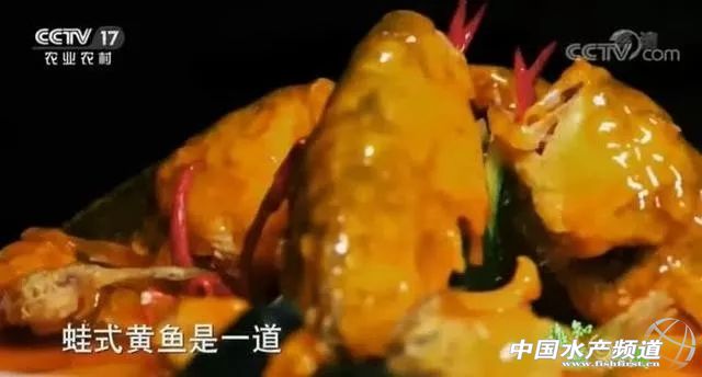 近几年大黄鱼价格,大黄鱼价格为何那么贵