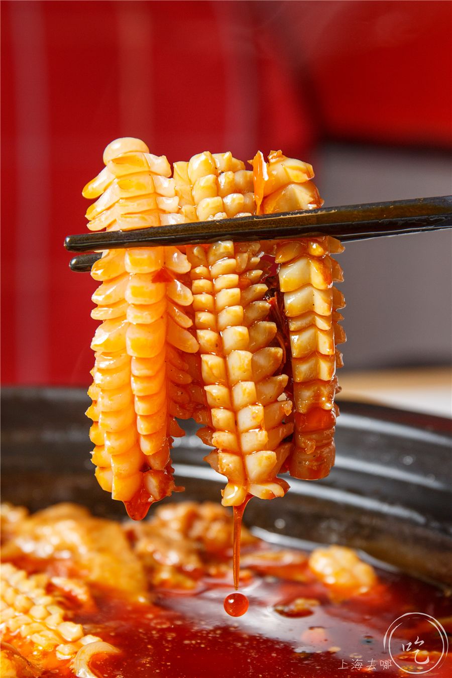 要火！魔都独①份的「毛血旺茶火锅」来了！刚开30天排爆虹口足球场