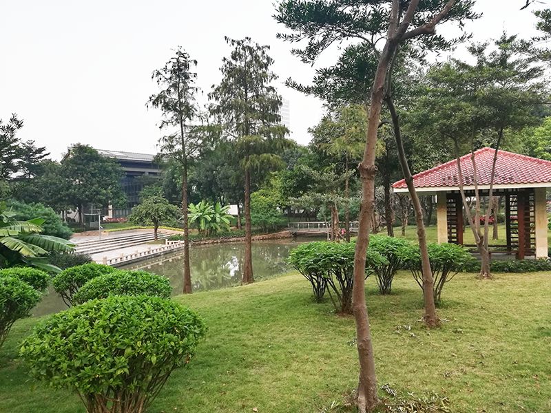 广州海珠区免费公园推荐,海珠区最近的公园