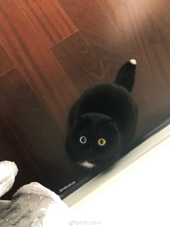 羽绒服里边的带子作用,彪马羽绒服带子干嘛用的