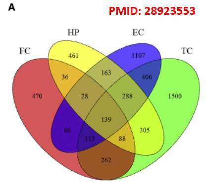 免费作图分析软件,绘图与数据分析器