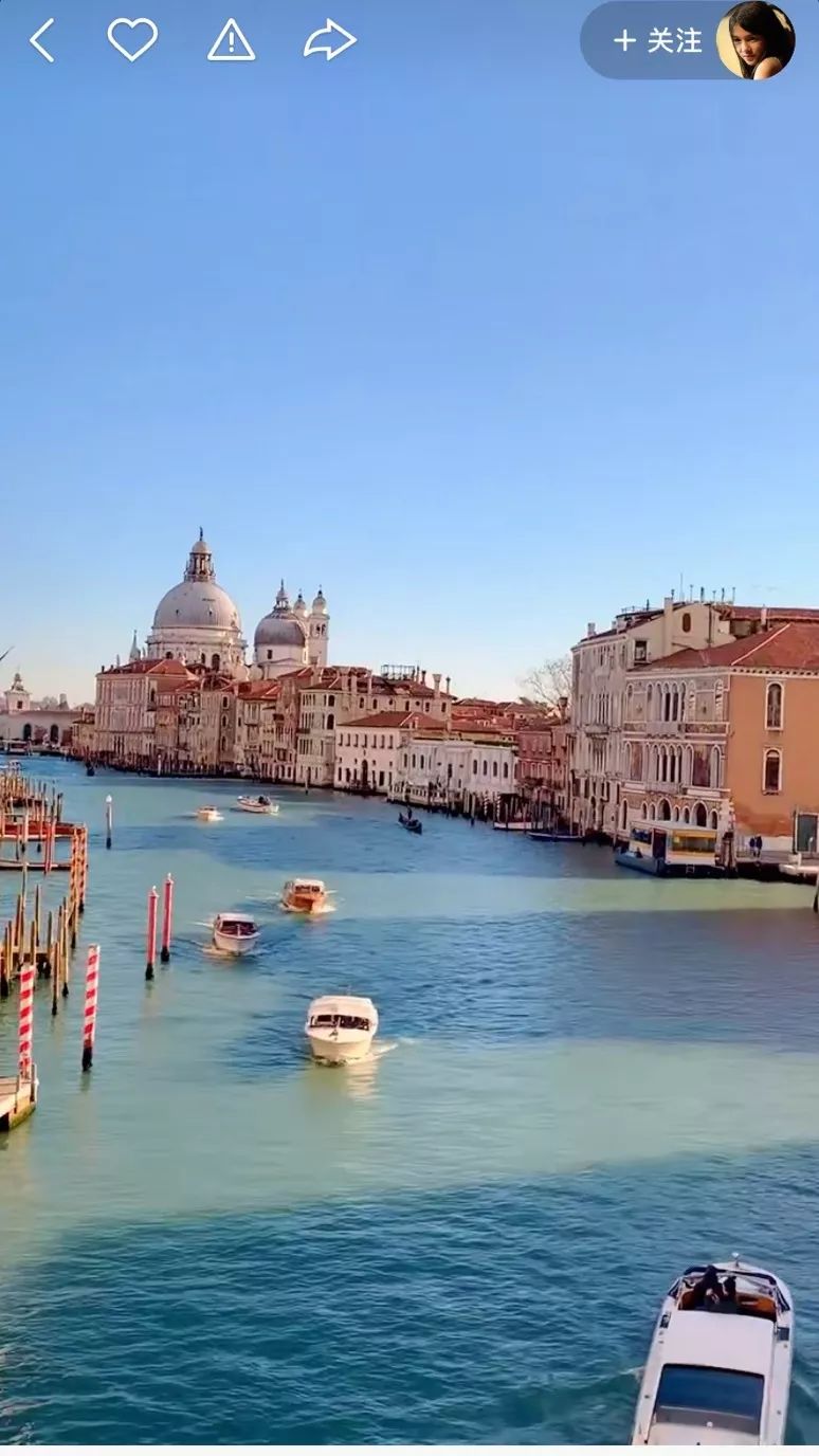 本来想去薅羊毛，却沉迷在这张“活的”地图上……