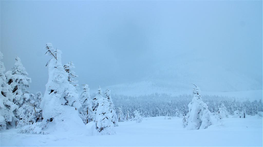日本浪漫风景视频,日本冬季绝美景色视频