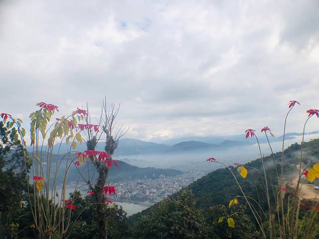 南亚国家旅行,南亚环球旅行