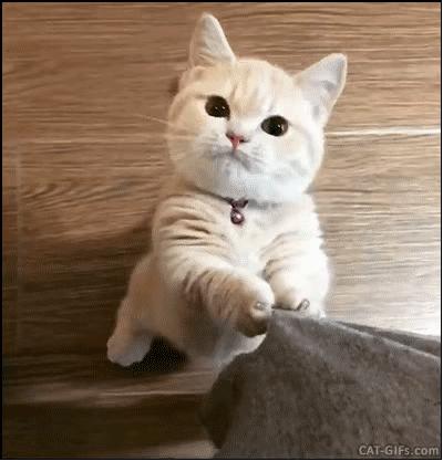 俄罗斯枪械公司现状,俄罗斯枪械公司有哪些