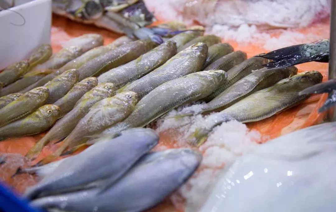 青岛小黄鱼,青岛特产小黄鱼