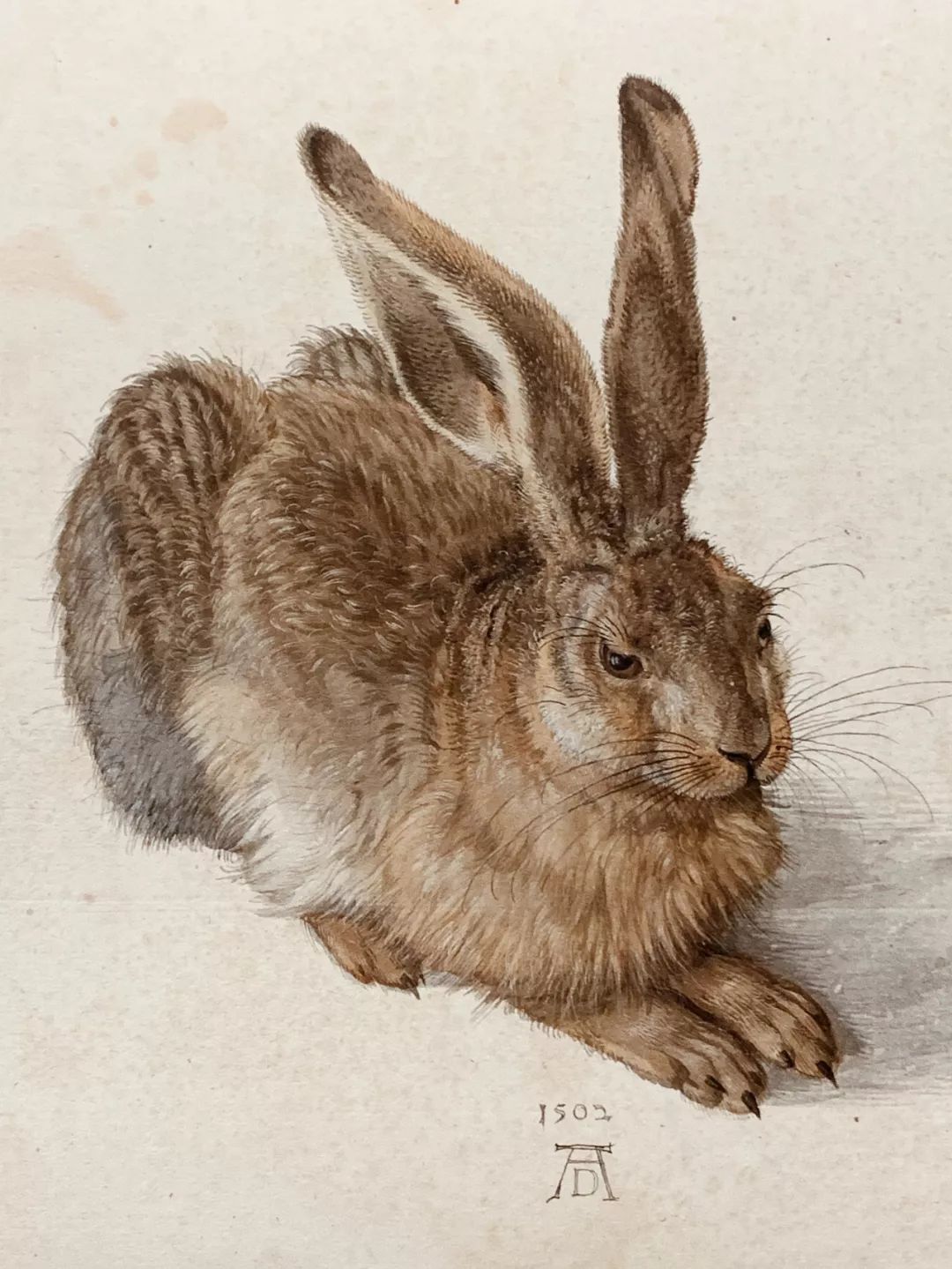 维也纳的十大特点,维也纳十首最好的诗