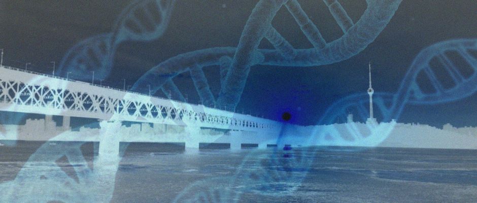 武汉肺炎疫情传播增长图丨内附共享数据文档