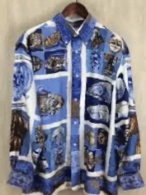 看到周震南的激动,周震南哪一期被狮子吓