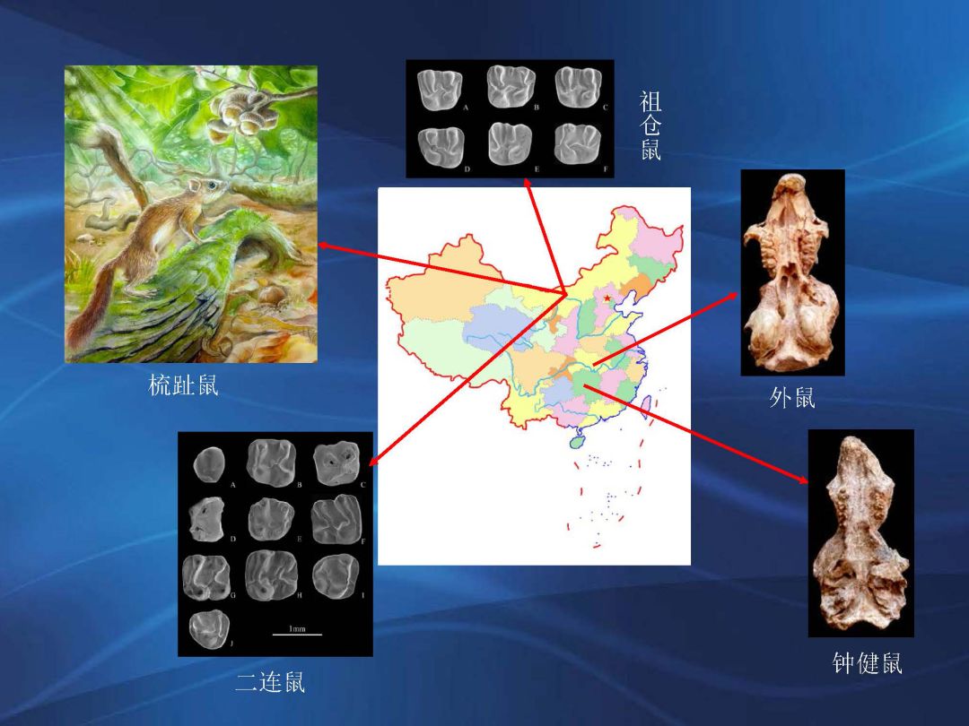 属鼠初一到三十,属鼠生在初一好吗