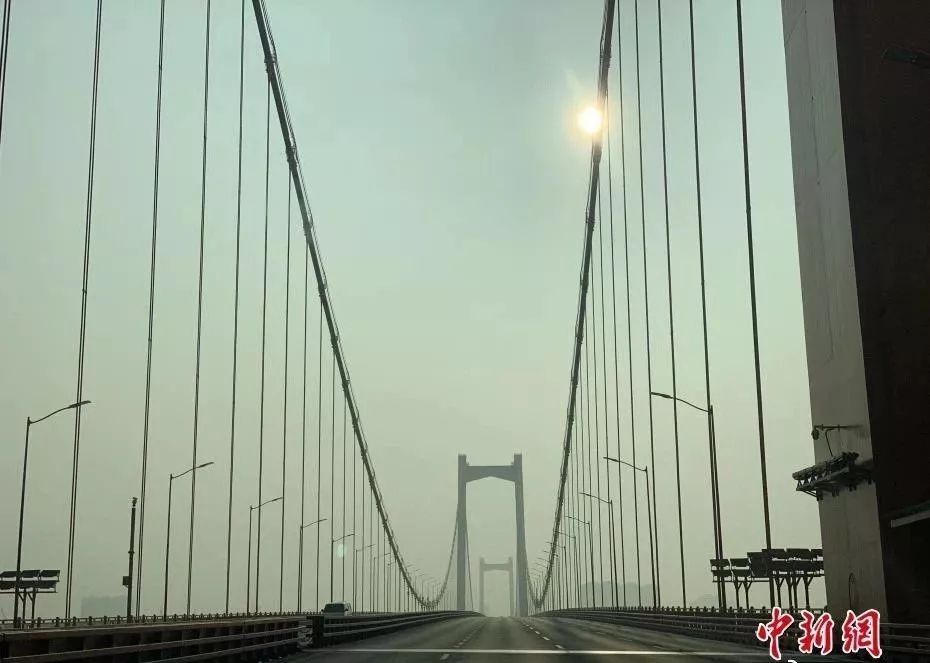 加缪鼠疫解读,加缪瘟疫告诉我们什么