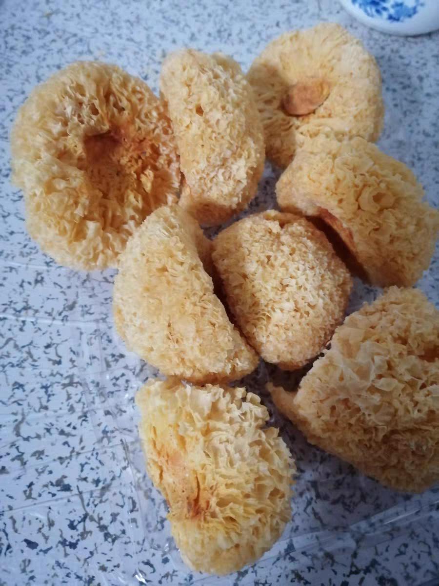 邢台清河天气怎么样,河北邢台清河县天气