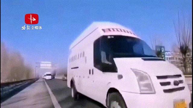 人民同泰药店五常总店,人民同泰药店双城分店