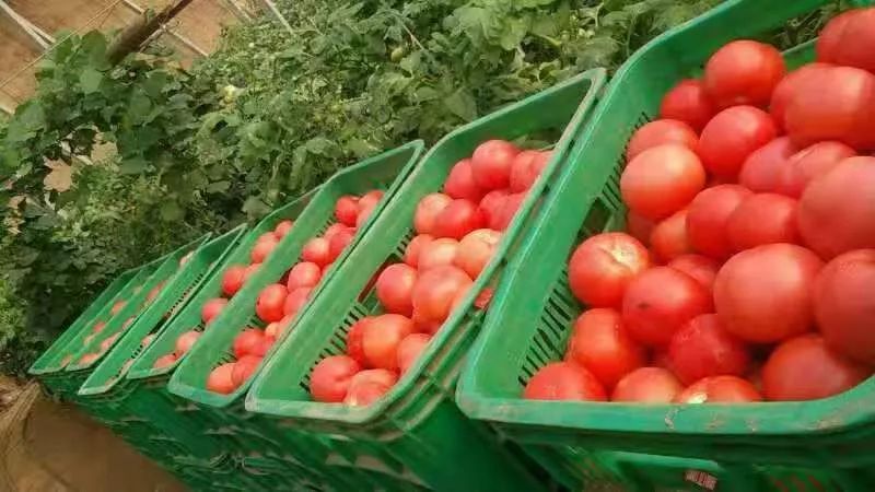 心别慌手别抖卡点伴奏,心别慌手别抖视频