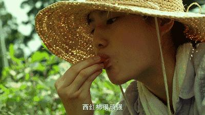 宅在家里挖掘我无限的潜能,适合宅在家看的电影风景片