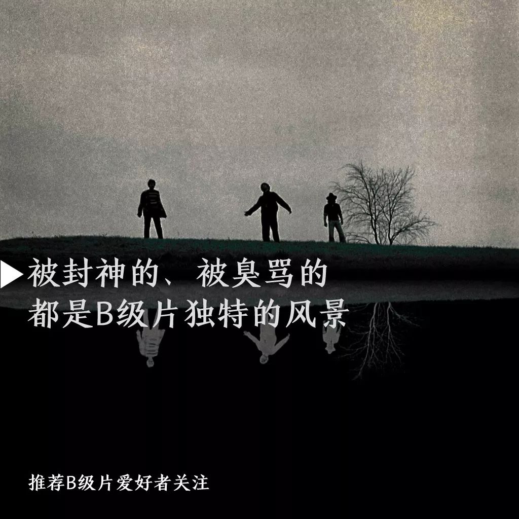 暴力b级片,国产惊悚b级片电影