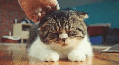 辟谣这些关于疫情的谣言千万别信,25条最新疫情谣言汇总