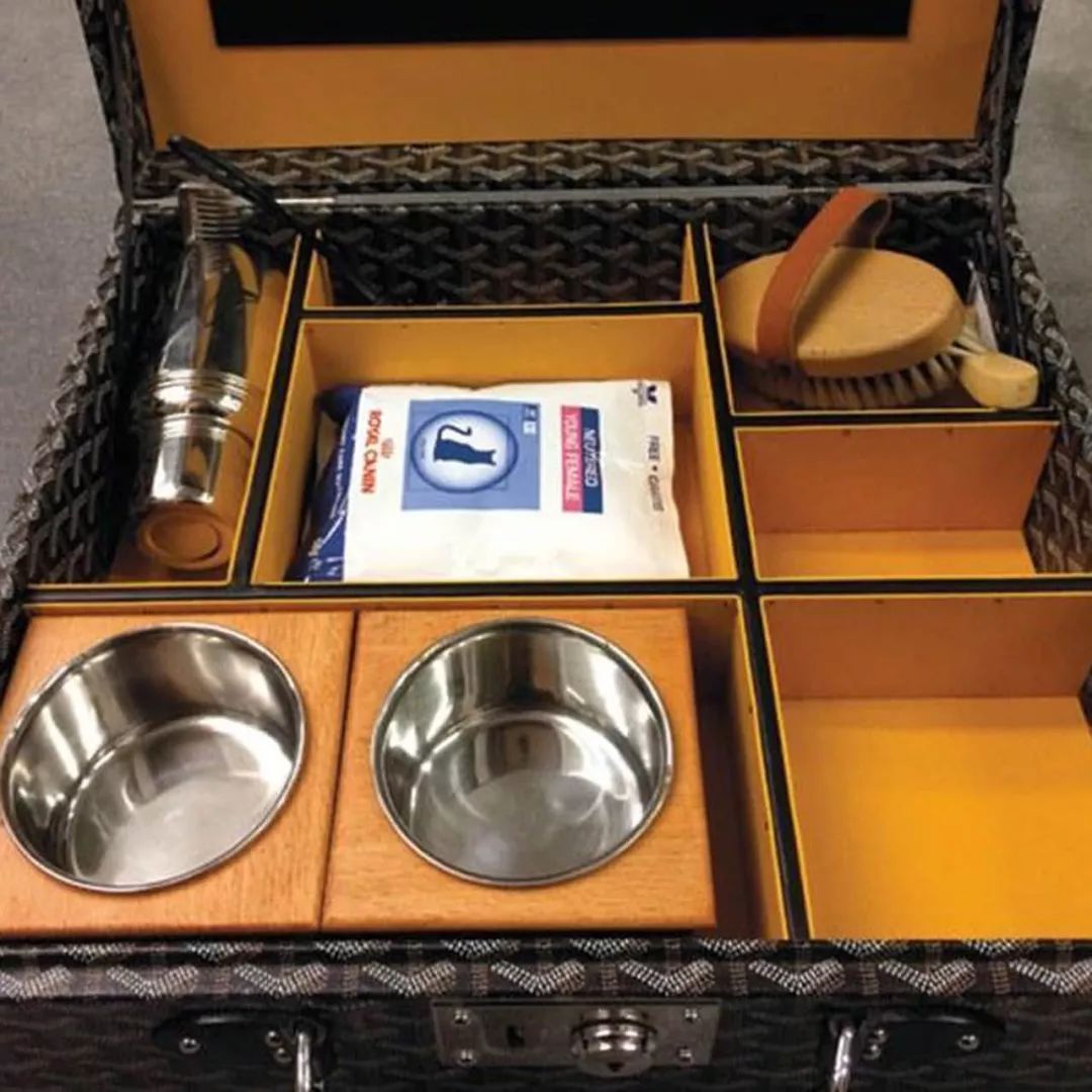 继承老佛爷遗产的猫怎么样了,老佛爷的猫咪现在怎么样了