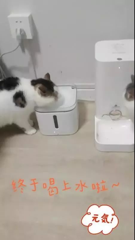 叮咚、美团、饿了么6日开始停止营业?最新回应来了