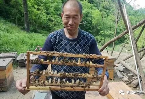 疫线坚守的故事,一线故事2019