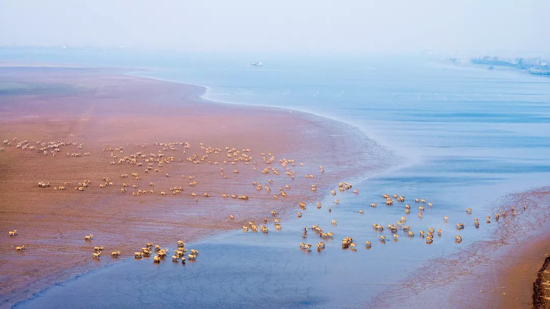 湖北不是只有武汉,湖北哪里跟武汉最近