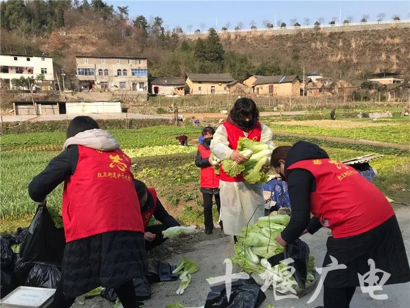 打赢这场仗就回去和你结婚完整版,打赢这场仗就回去和你结婚图片