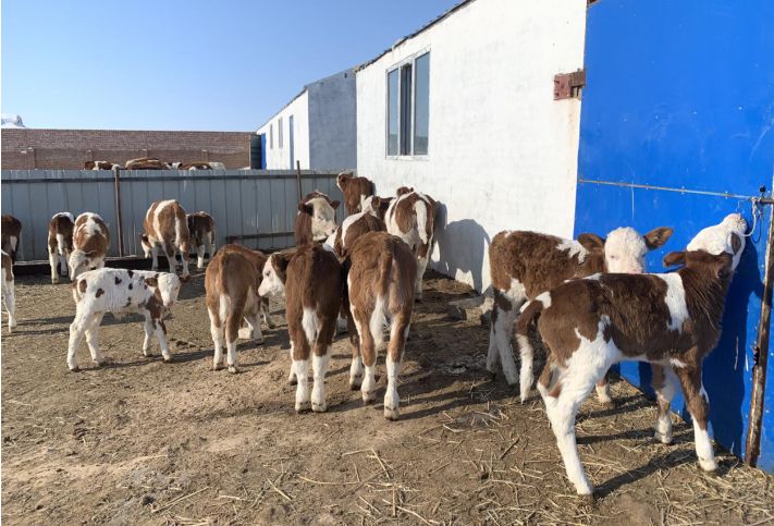 榜样中青年抗疫情,疫情防控一线的榜样力量