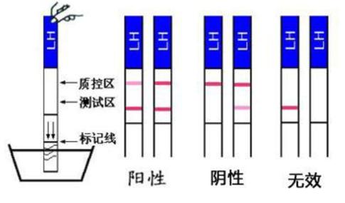 备孕去医院检测排卵,备孕促排卵流程
