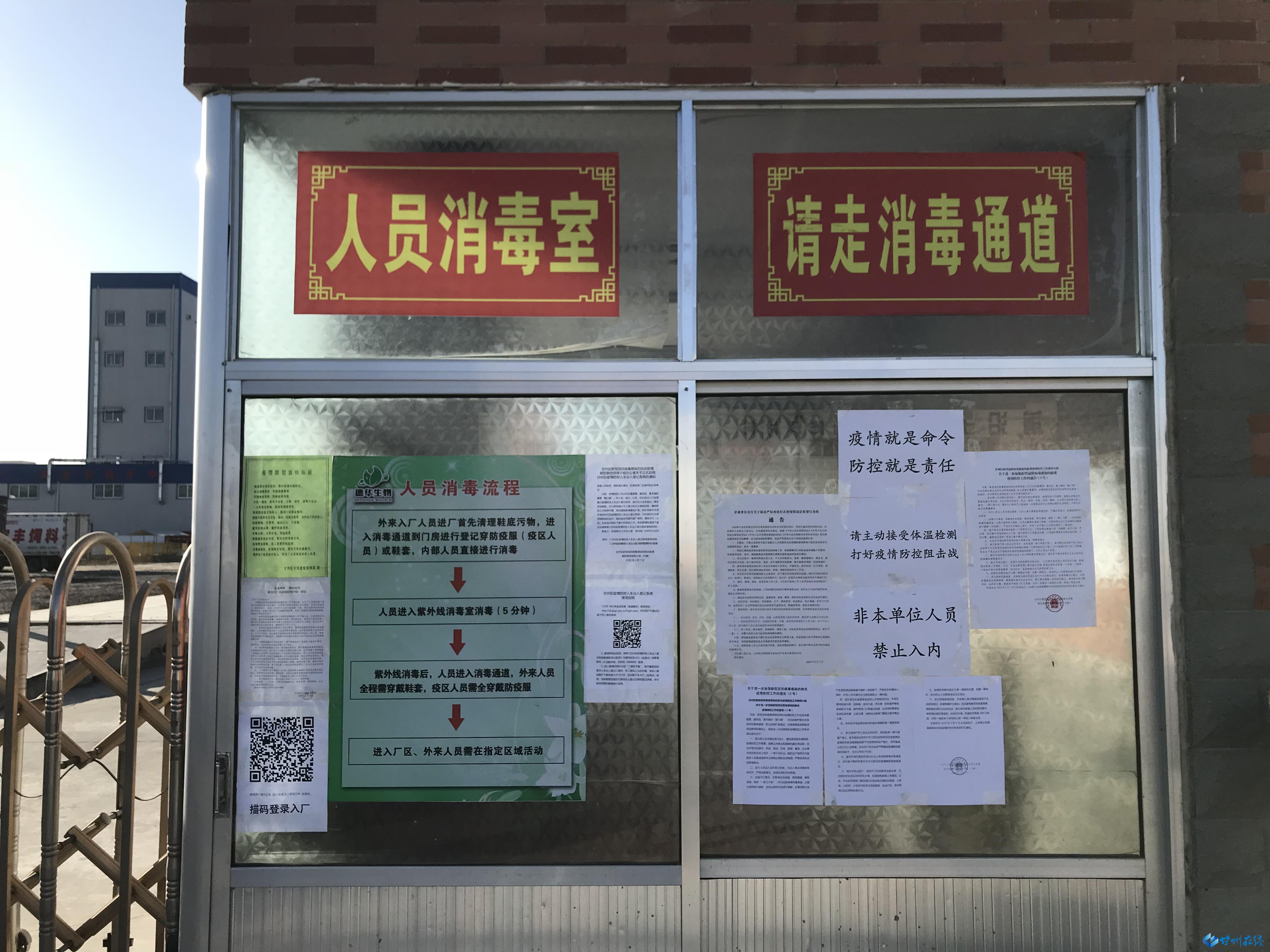 桃江严防严控确保防疫生产两不误,防疫生产两不误企业跑出加速度