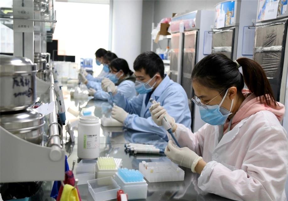 松山湖高新区工业开发区,东莞龙头企业复工