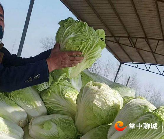 网友农产品滞销,一些农副产品滞销直播助农